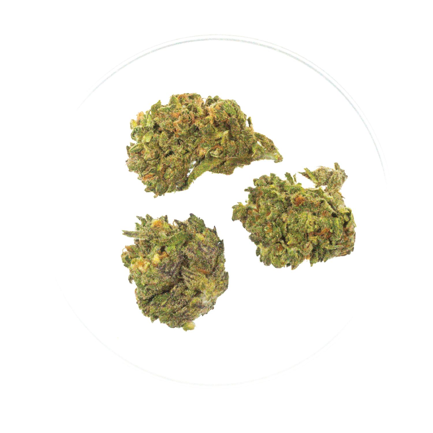Mountain Dew - THCa 30.05%
