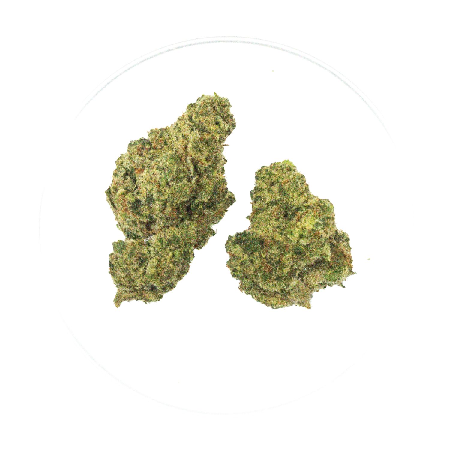 Donny Burger - THCa 32.09%