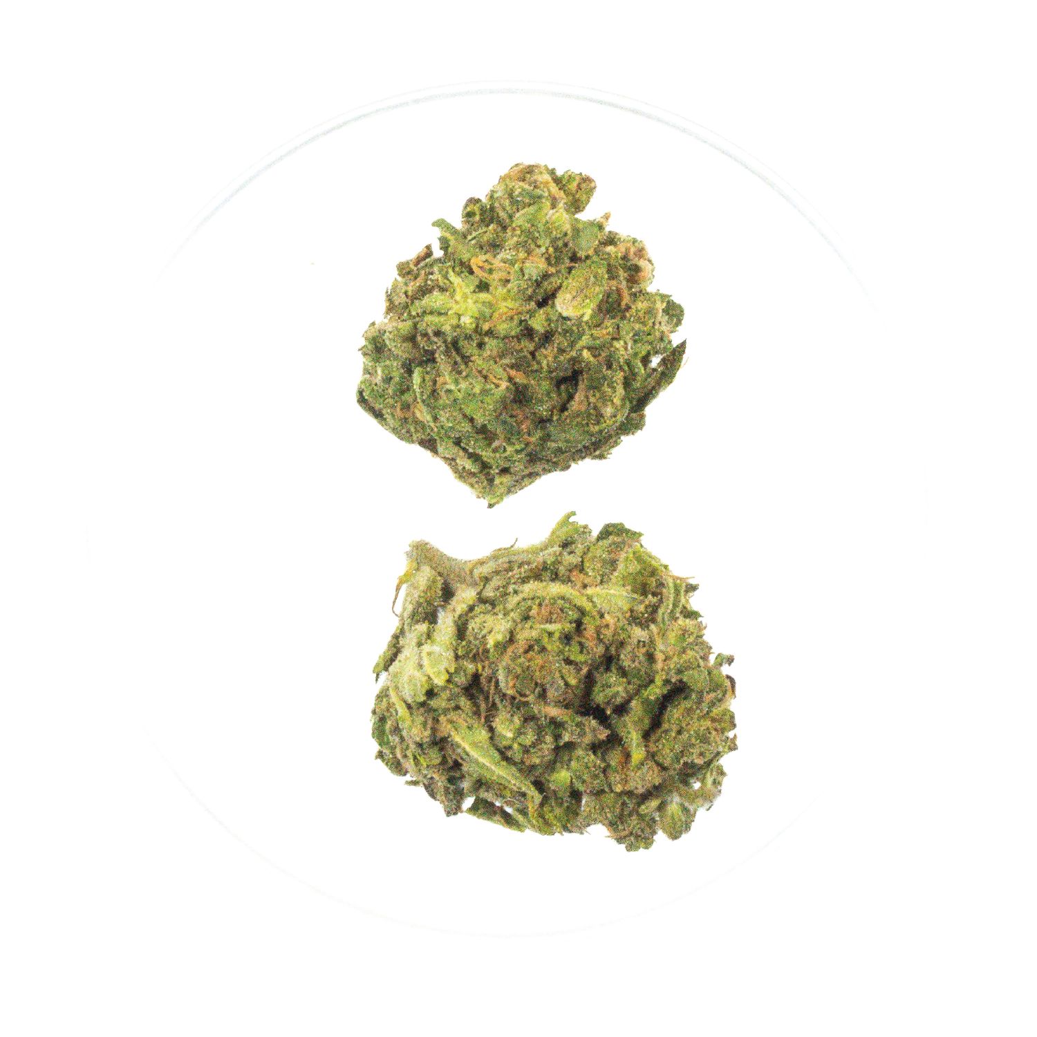 Designer Runtz - THCa 30.95%