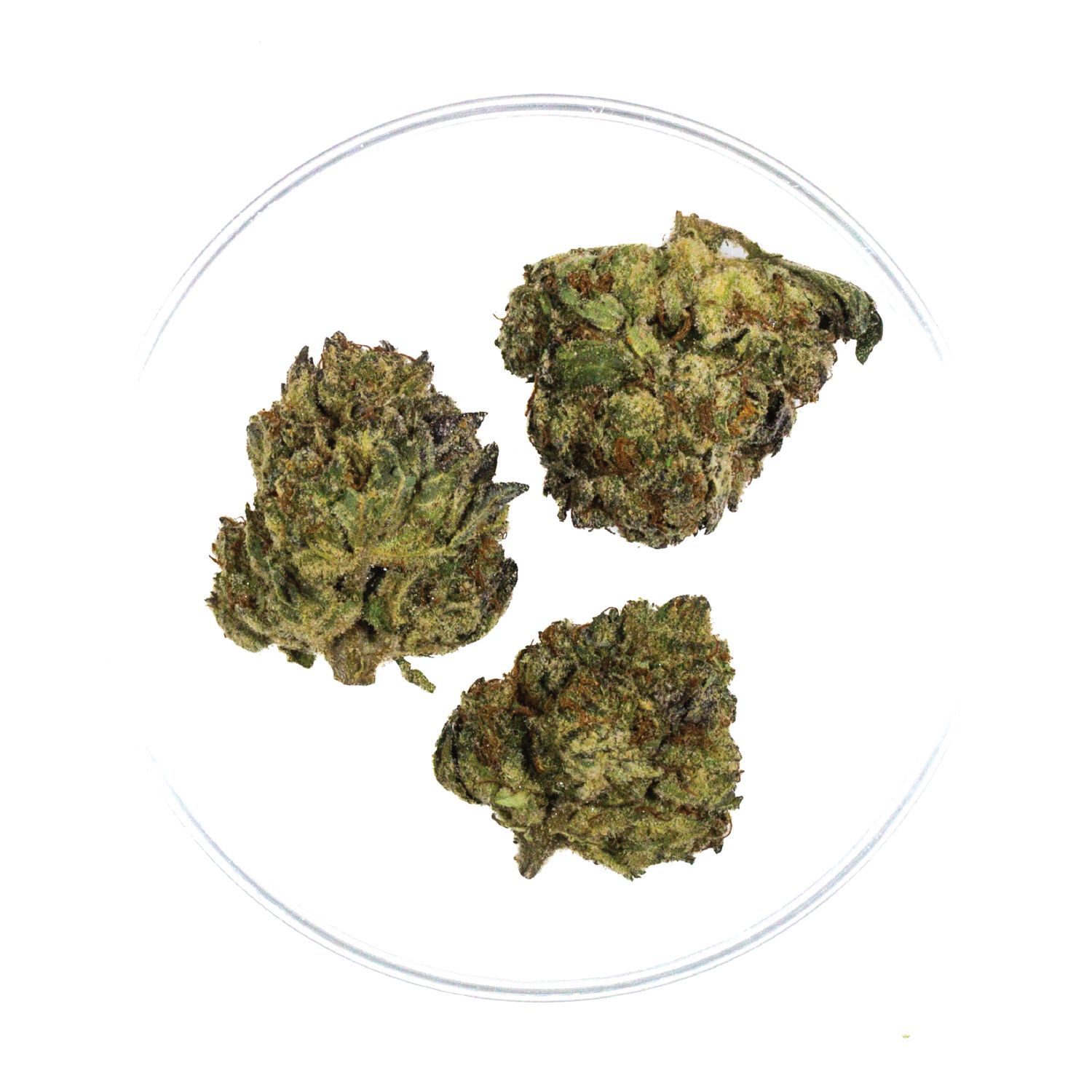 Monster Cookies - THCa 32.98%