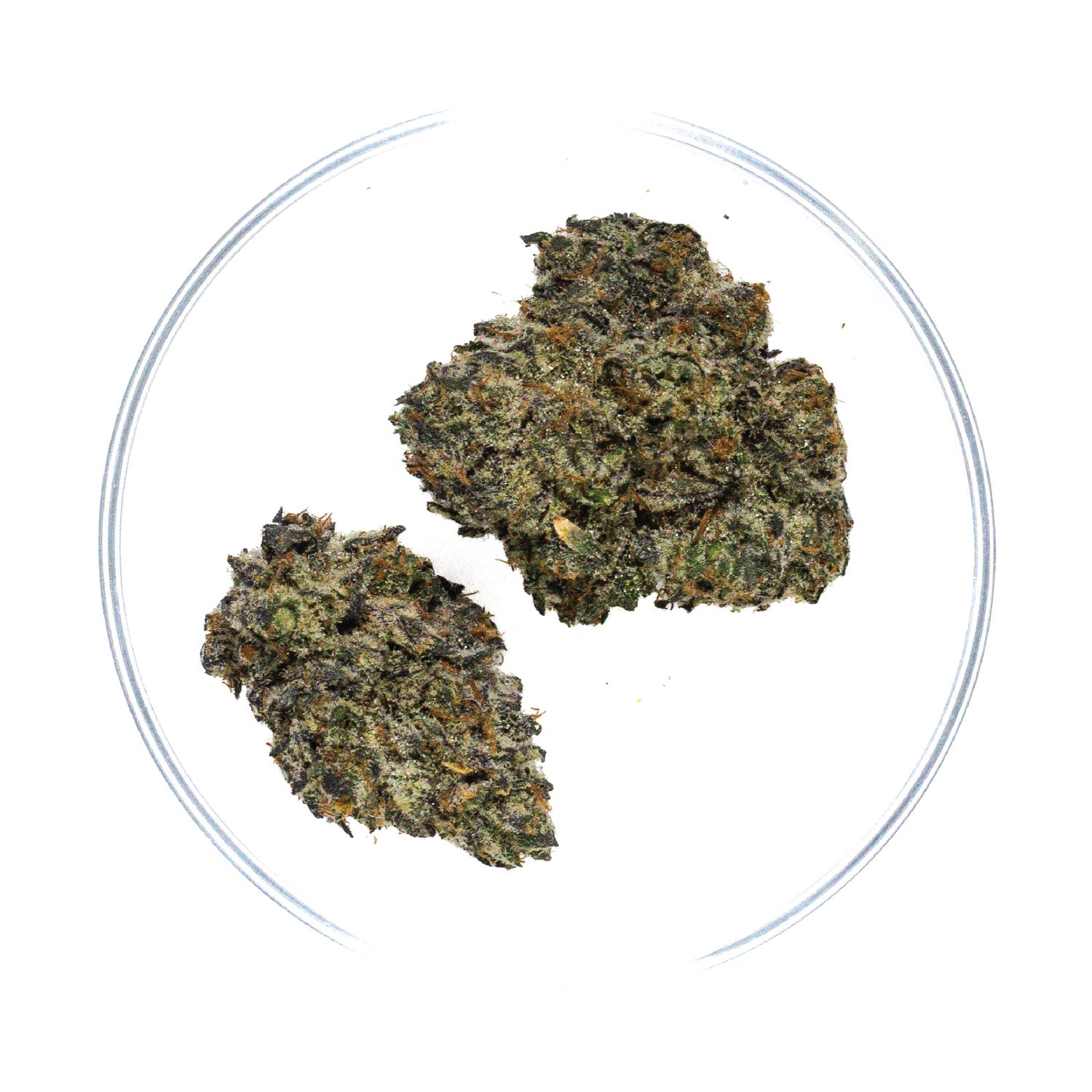 Orange Skittlez- THCa 32.5%