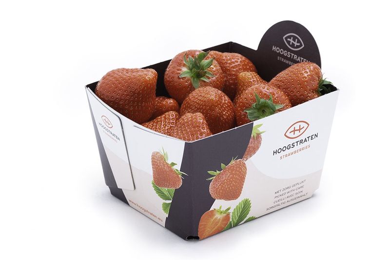 Aardbeien Hoogstraten