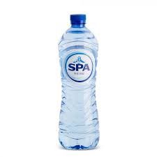 SPA REINE 1L PET