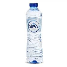 SPA REINE PET 50CL