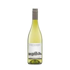 Witte wijn Sauvignon Blanc Thierry Delaunay &#39;Ceprembre&#39;