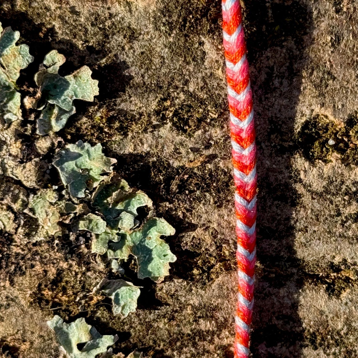 Armbändchen, handgeknüpft