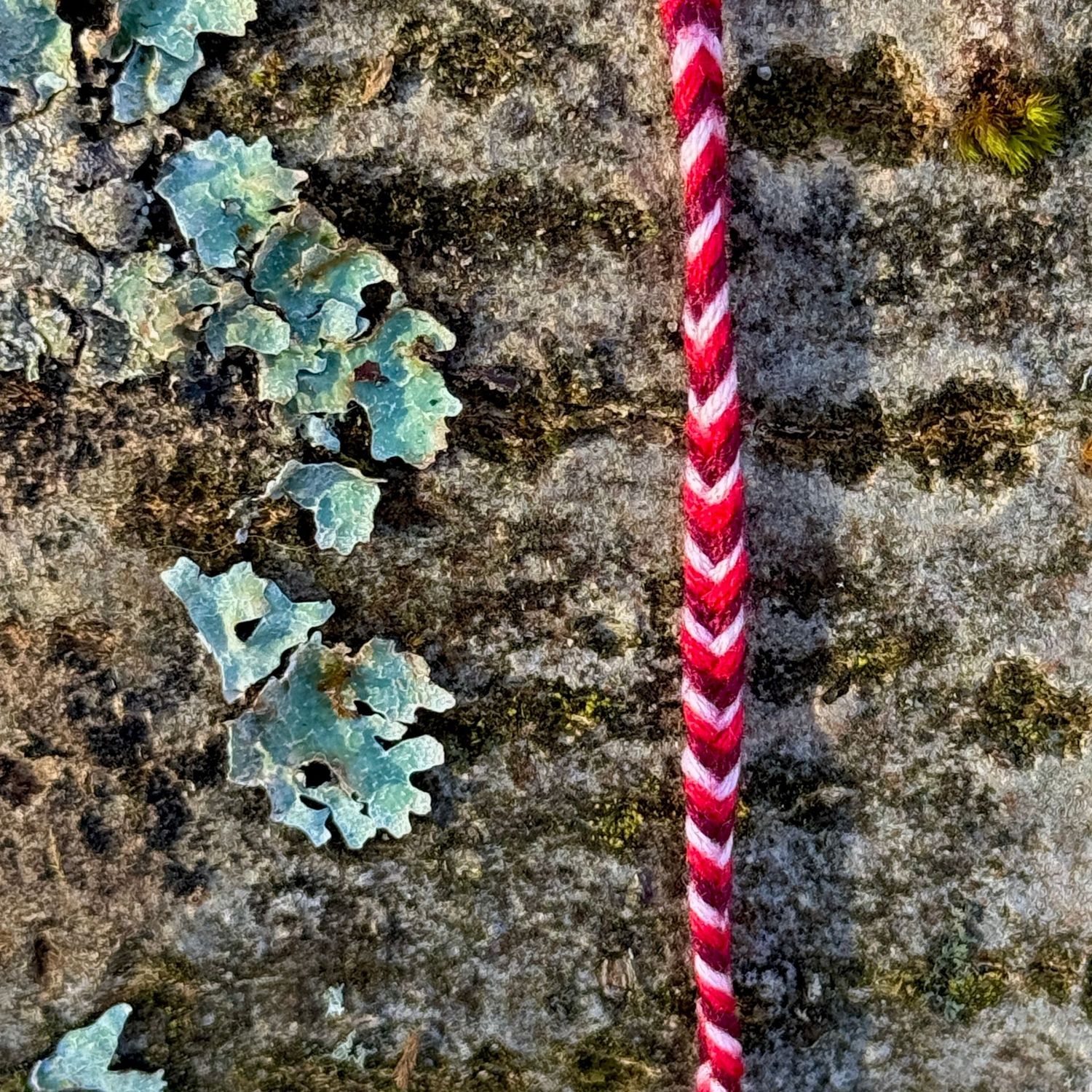 Armbändchen, handgeknüpft Armbändchen, handgeknüpft