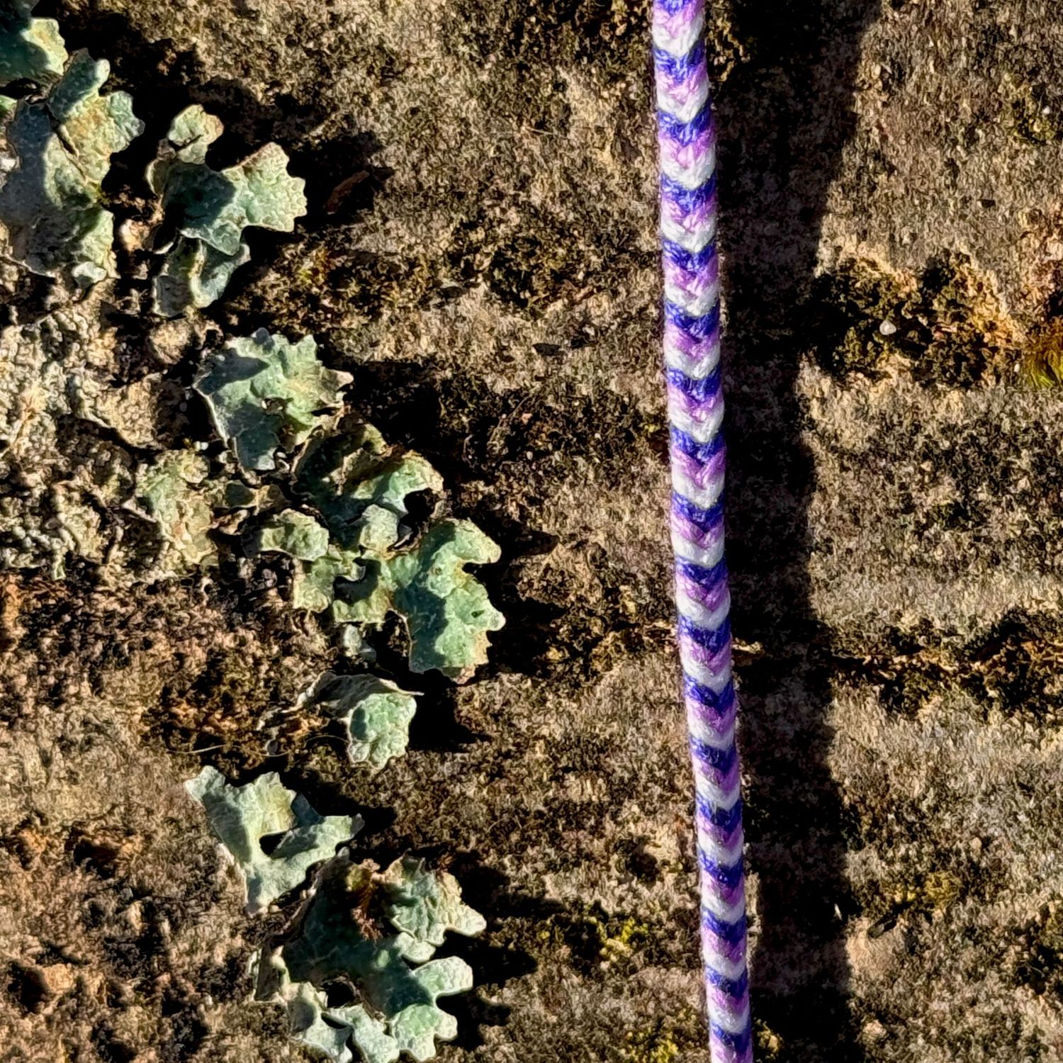 Armbändchen, handgeknüpft Armbändchen, handgeknüpft