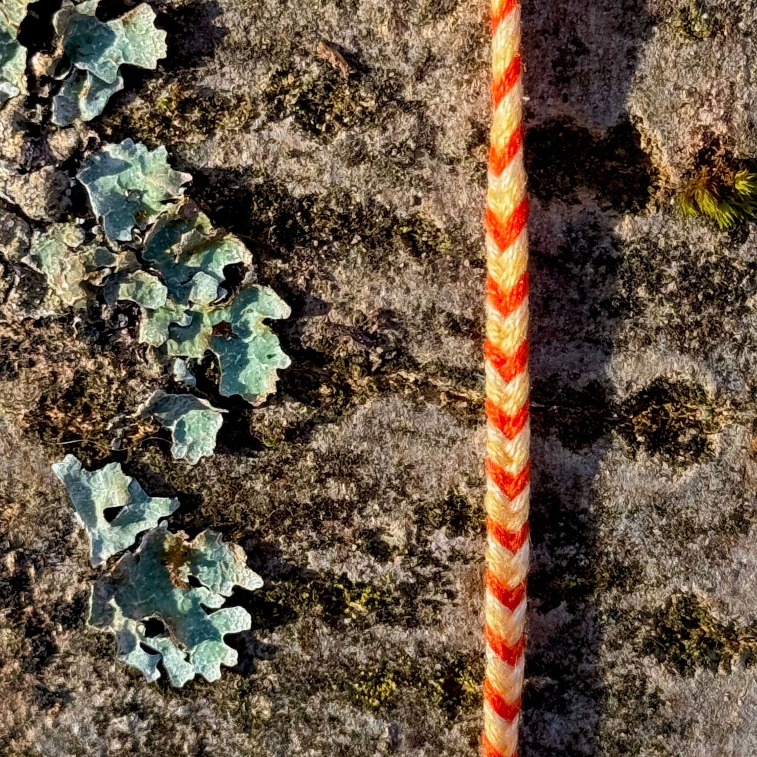 Armbändchen, handgeknüpft Armbändchen, handgeknüpft