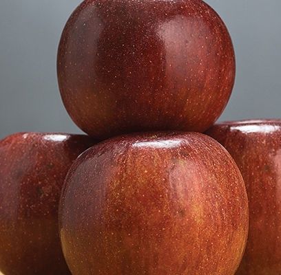 Winecrisp™ Apple (7/8in caliper)