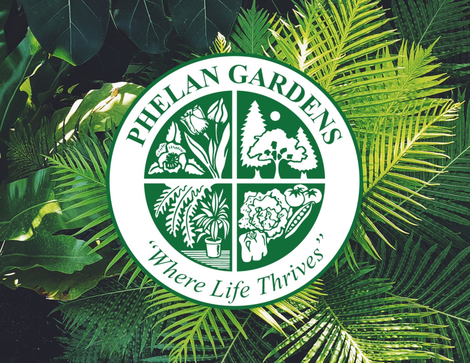 Phelan Gardens DIGITAL Gift Card