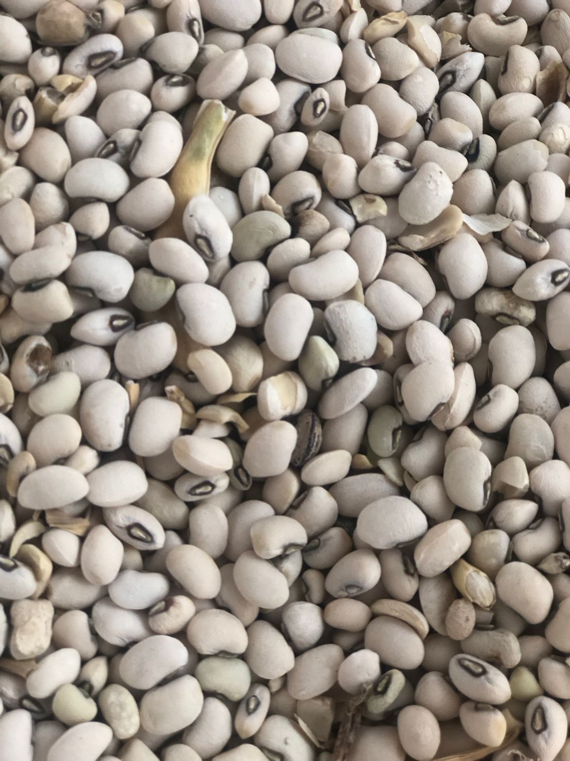 Beans Mudu