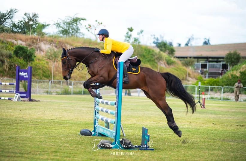 Se Leva | Bold Decisions — The Custom Collection