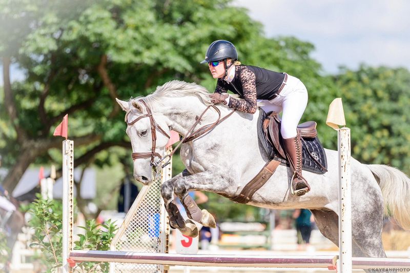 Saddle Pads and Ears
