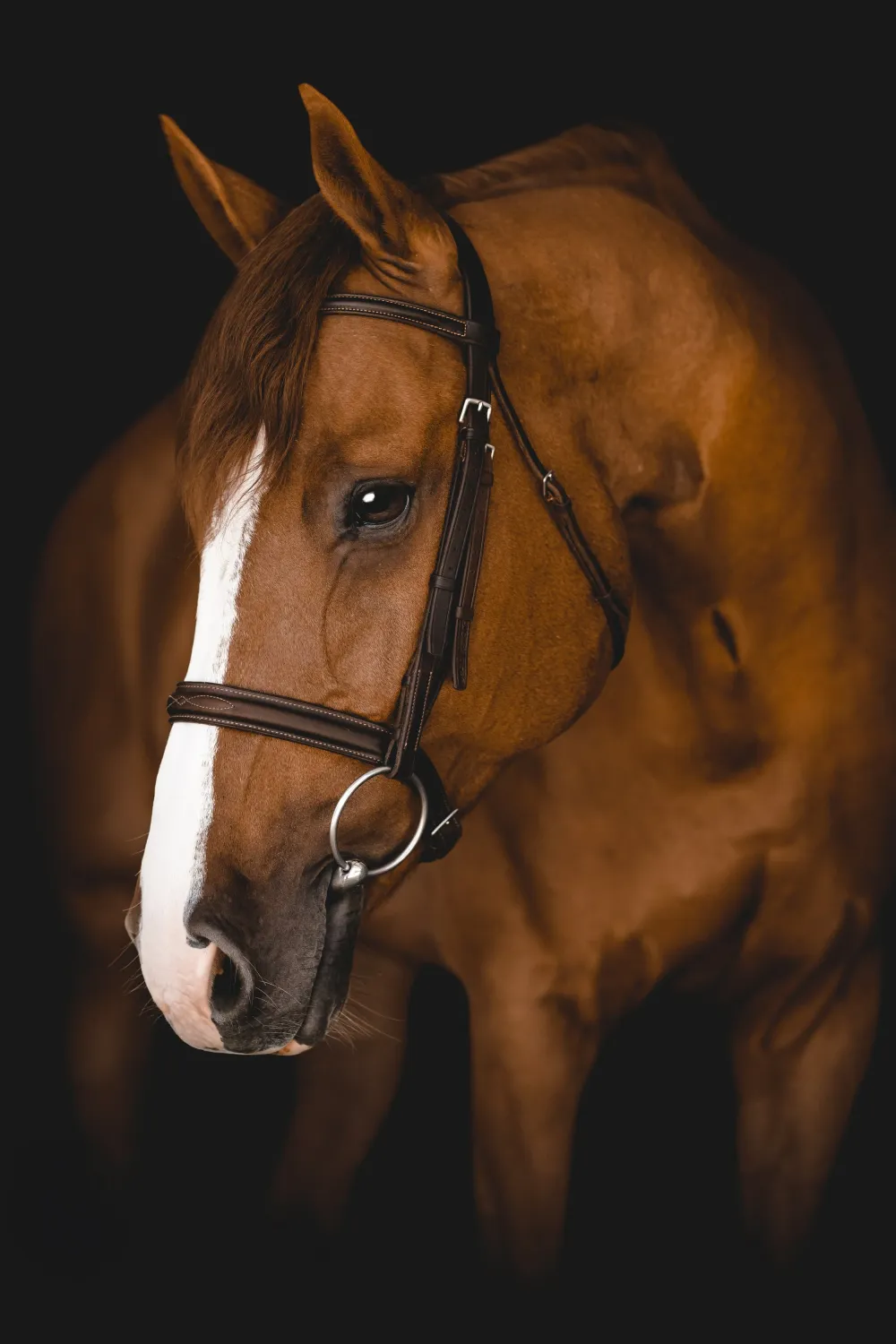 Build Your Own - Chestnut Horse Addition