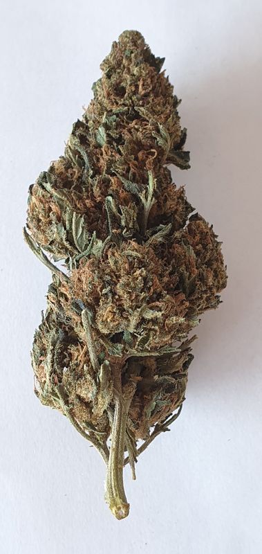 Mandarine Kush