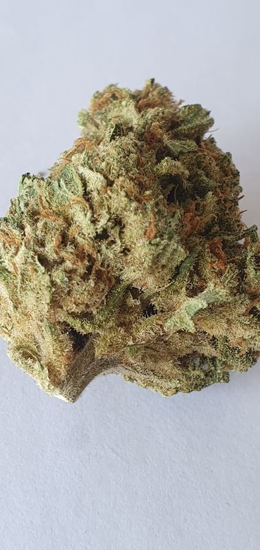 Amnésia Deluxe Indoor