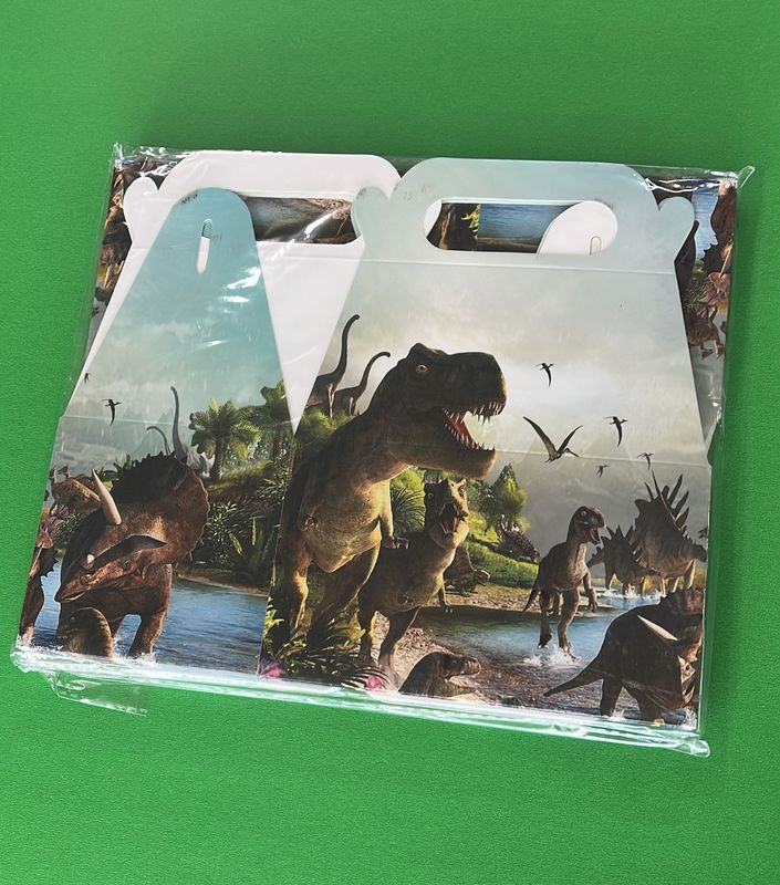 Dinosaur Treat Boxes 12ct