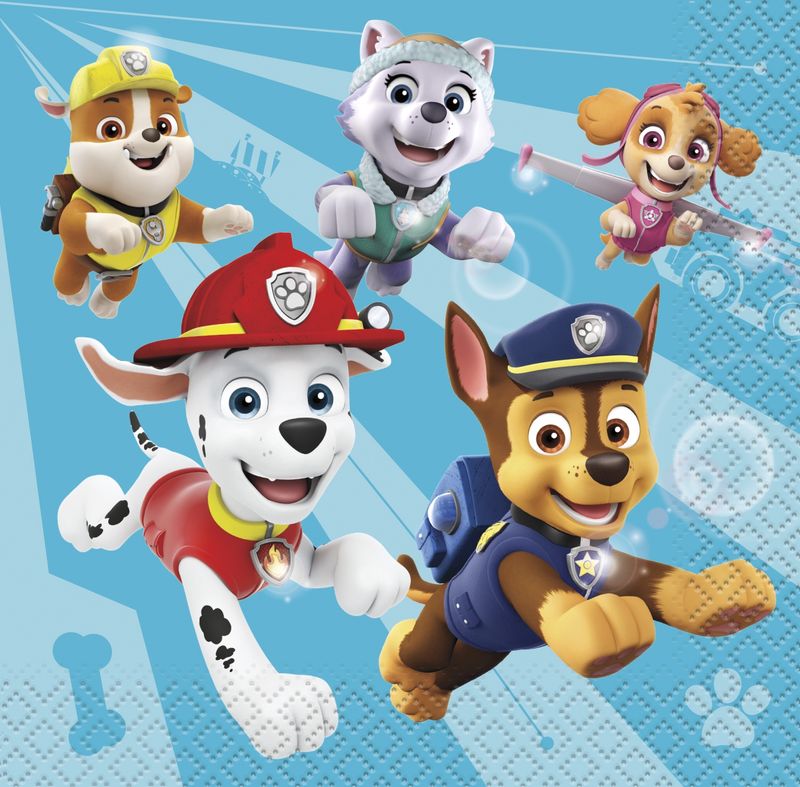 Paw Patrol Rectangular Plastic Table Cover
