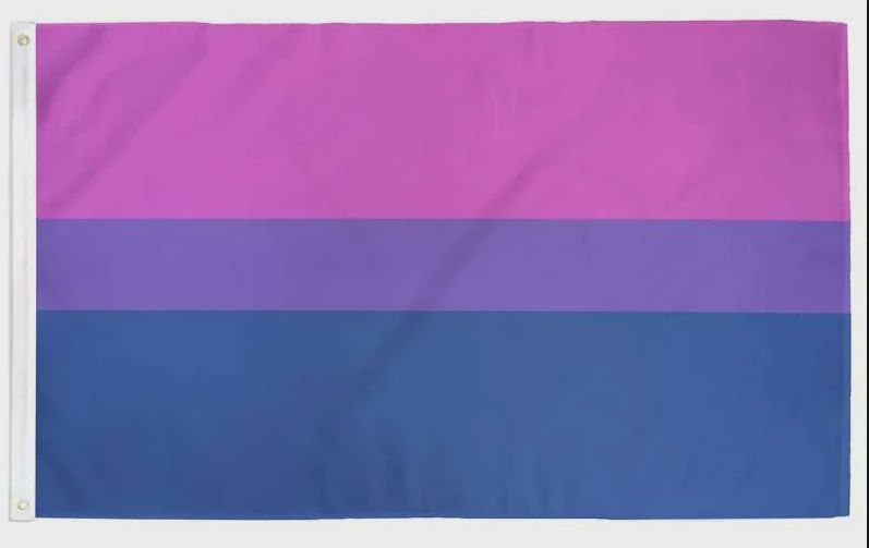 2‚Äôx3‚Äô Bisexual Pride Flag