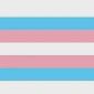 2&quot;x3&quot; Transgender Pride Sticker