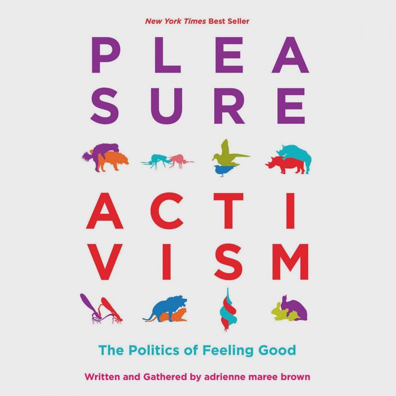 Pleasure Activism