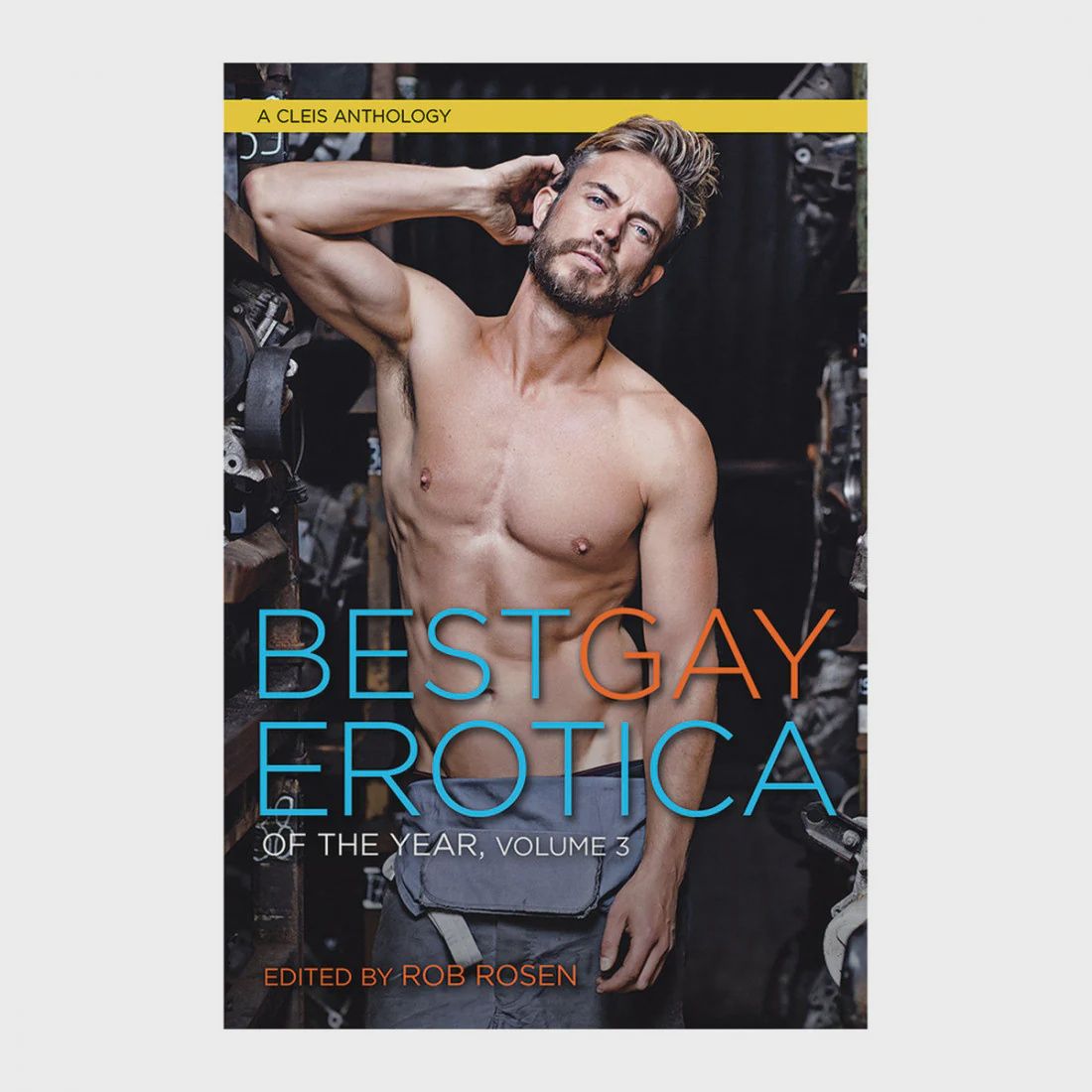 Best Gay Erotica of the Year Vol. 3
