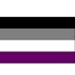 4&quot;x6&quot; Pride Flag on a stick - Asexual
