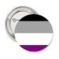 1.25&quot; Asexual Pride Button