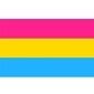 2‚Äôx3‚Äô Pride Flag - Pansexual