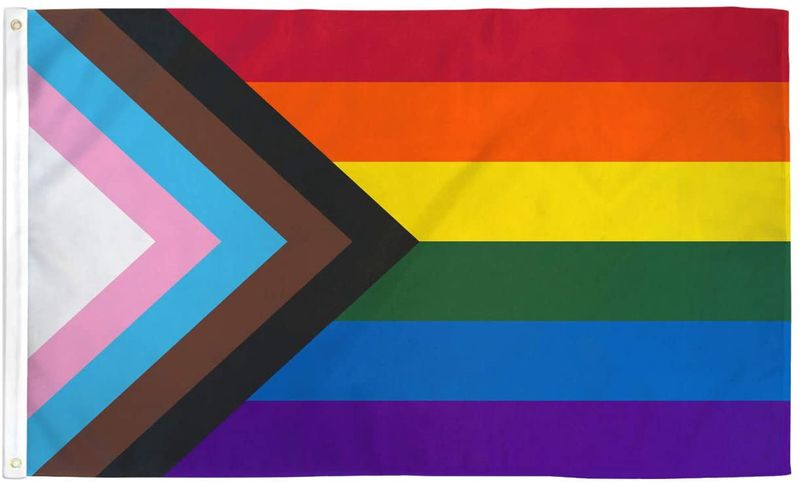 2 ft x 3 ft Progress Pride Flag