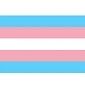 4&quot;x6&quot; Pride Flag on a stick - Transgender