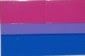 2&quot;x3&quot; Bisexual Pride Sticker
