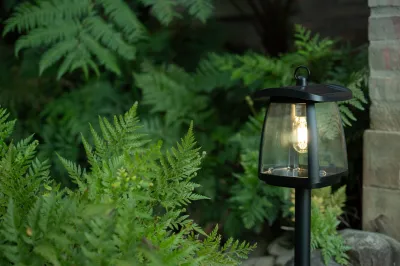 Garden Solar Lights