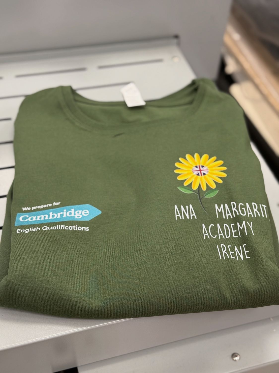 PACKS CAMISETA BEAGLE