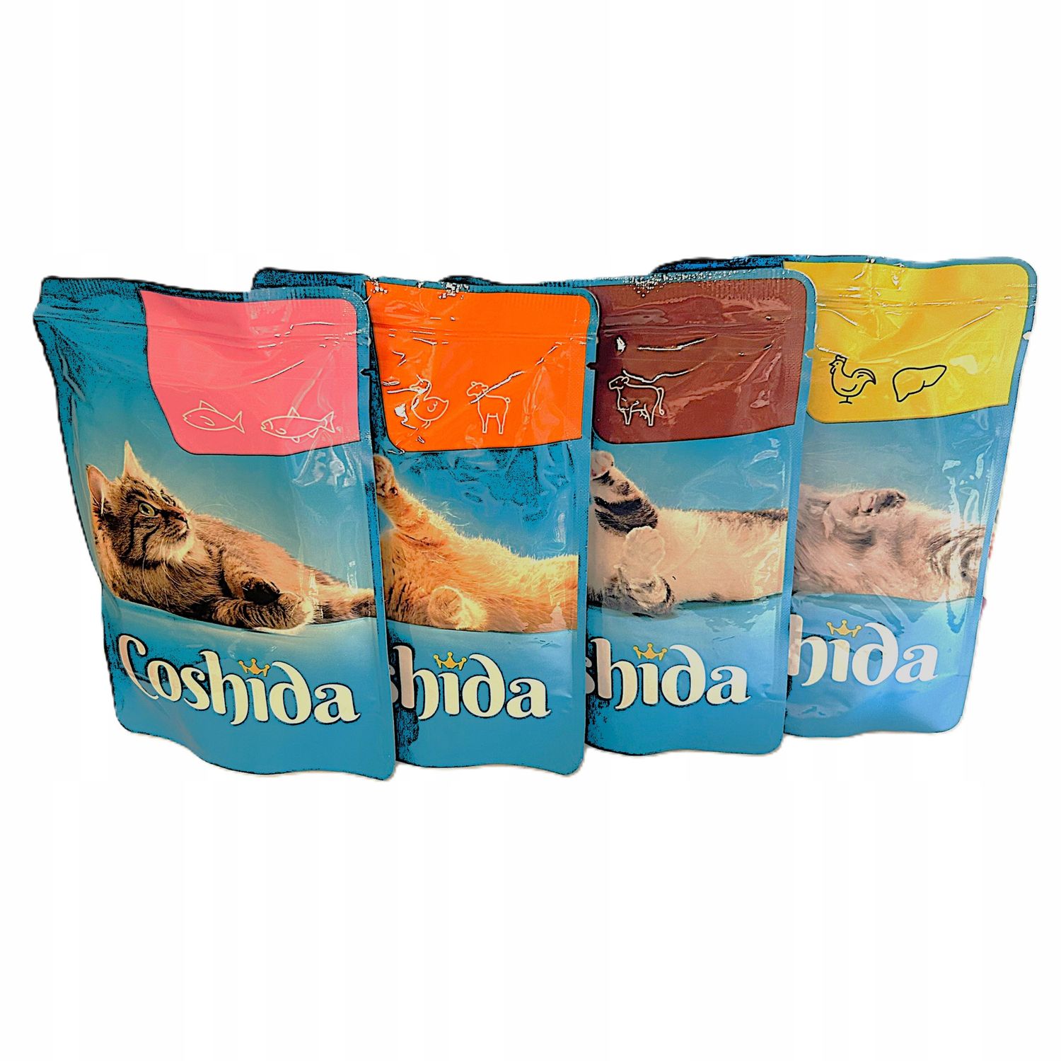 Coshida Karma dla Kota w Galaretce XXL 24×100 g – Mix Smaków