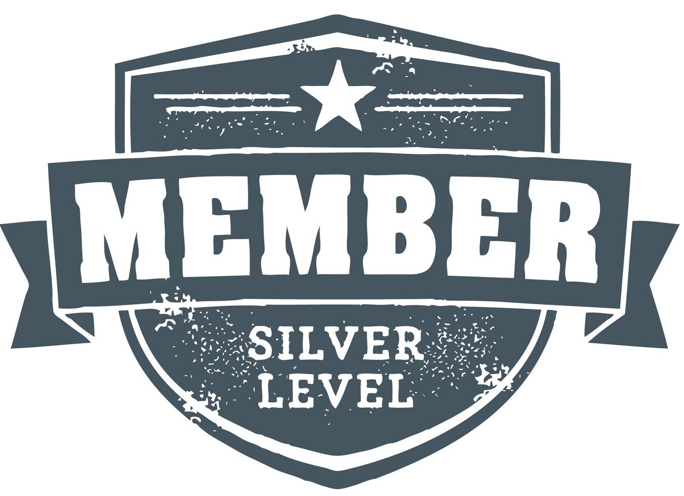 Associate Member - Silver
