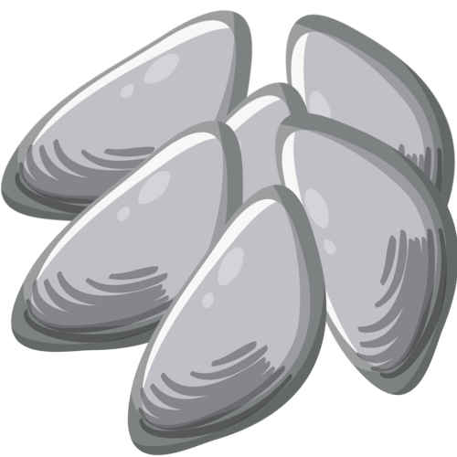 Extra Clams