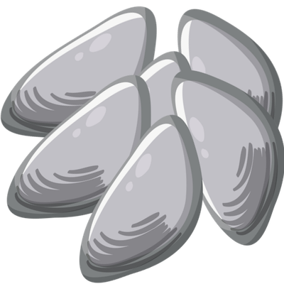 Extra Clams