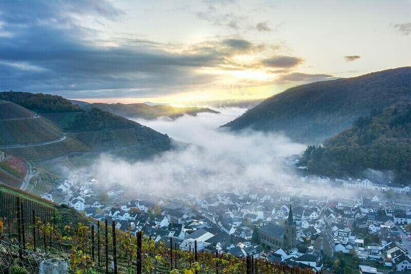 Nebel über Dernau