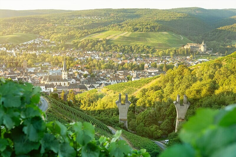 Sommerlicher Blick auf Ahrweiler
