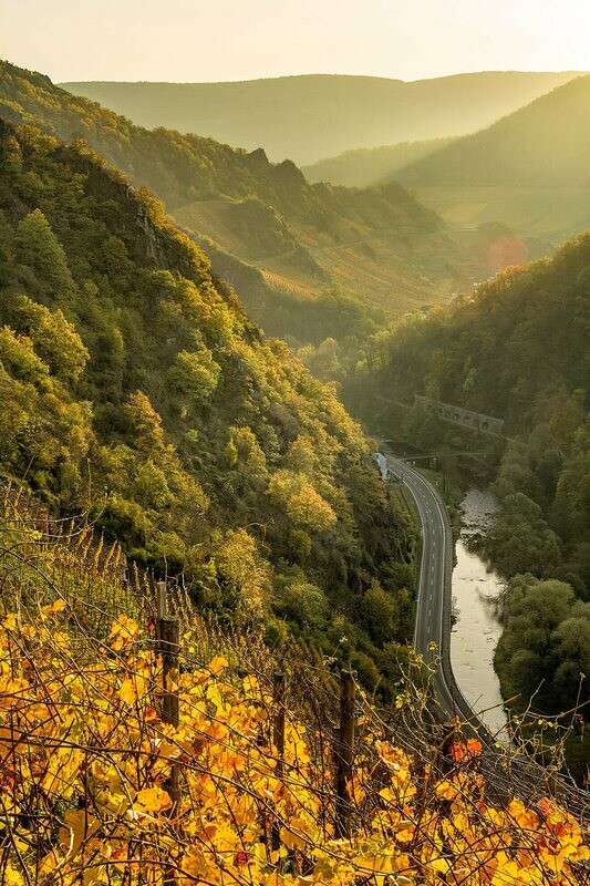 Morgenstimmung bei Altenahr (Hochformat)