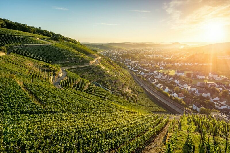 Strahlender Sonnenaufgang