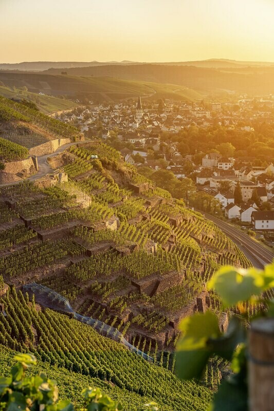 Sommerlicher Blick auf Ahrweiler (Hochformat)