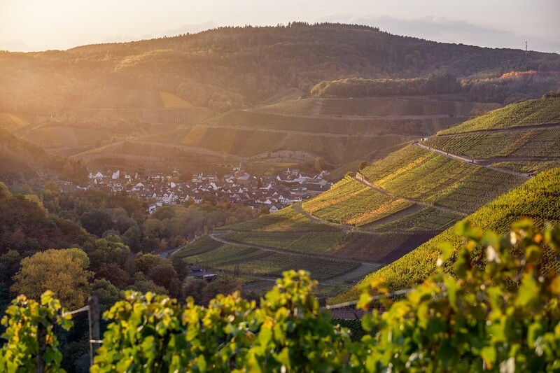 Blick nach Dernau
