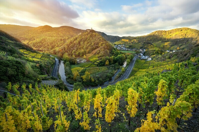 Die Saffenburg im Herbst