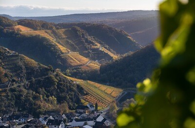 Weinberge im Ahrtal