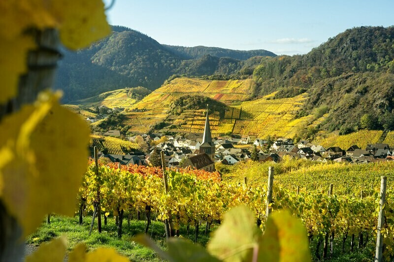 Weinort Mayschoß im Herbst