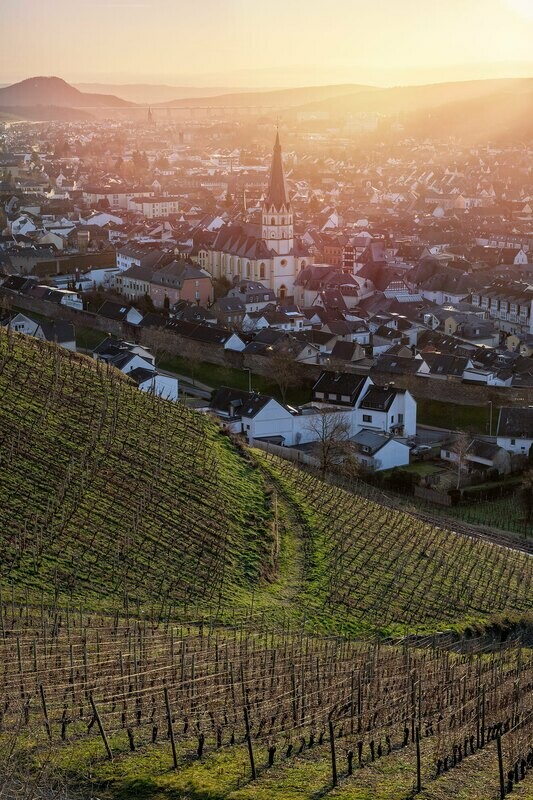 Blick auf Ahrweiler im Sonnenaufgang (Hochformat)