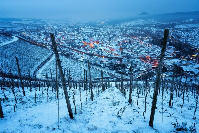 Winterliche Weinberge über Ahrweiler